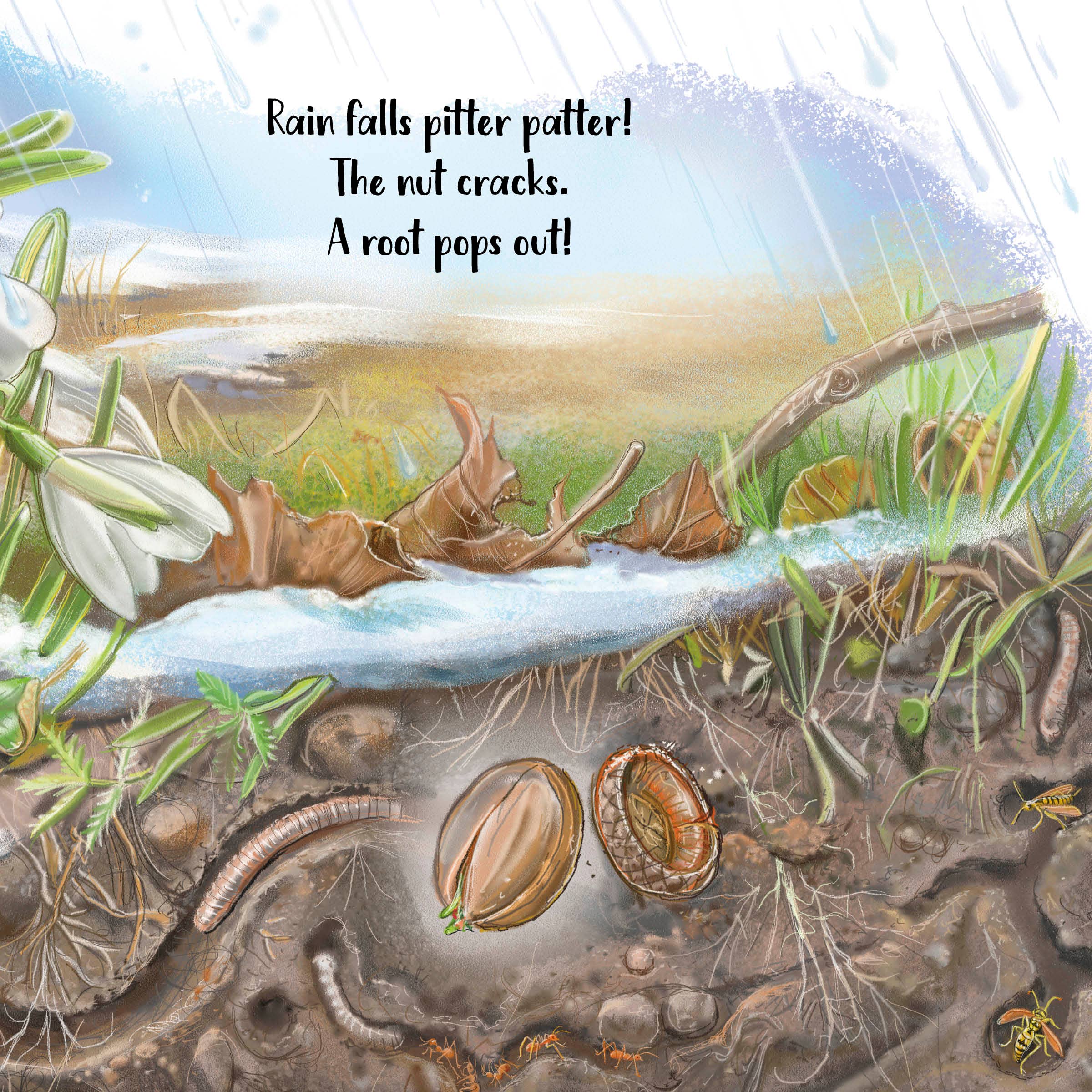 Schiffer Publishing - Wholesale Baby & Toddler Book (0-2) - The Tiniest Giant6