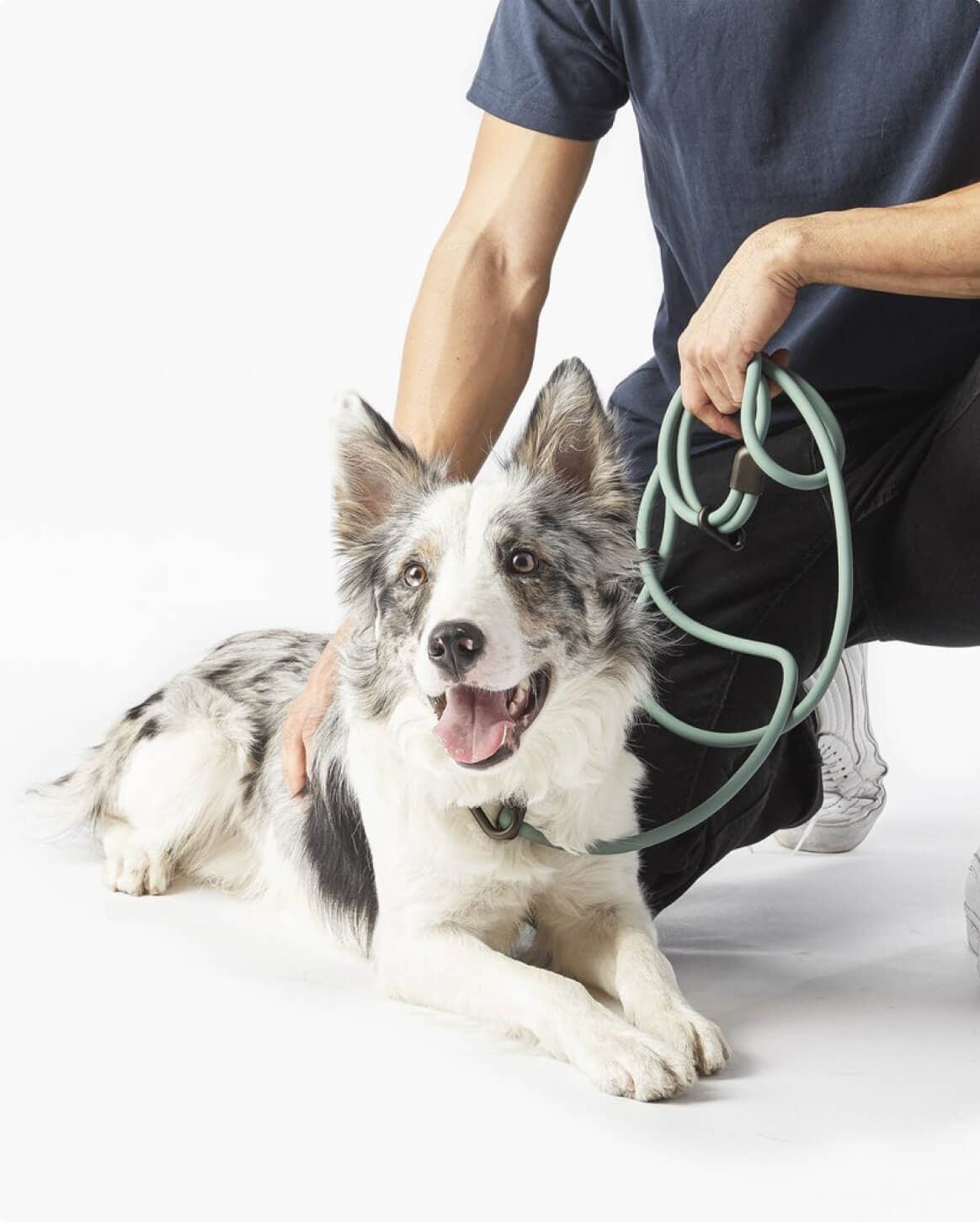 Fable Pets – wholesale Hundkoppel - Hund – Magic Link Handsfree hundkoppel med hålkrage1