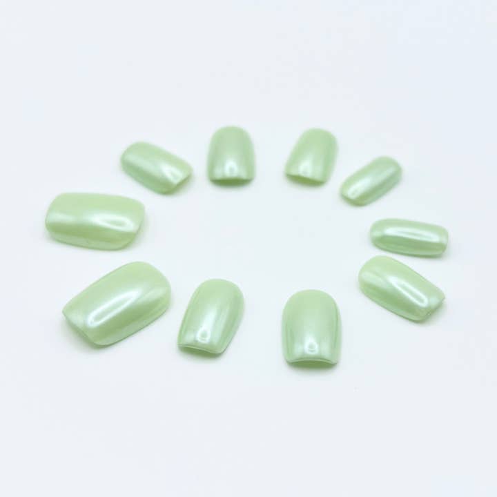 Menthe fraîche pour la vente par JOONMER LLC