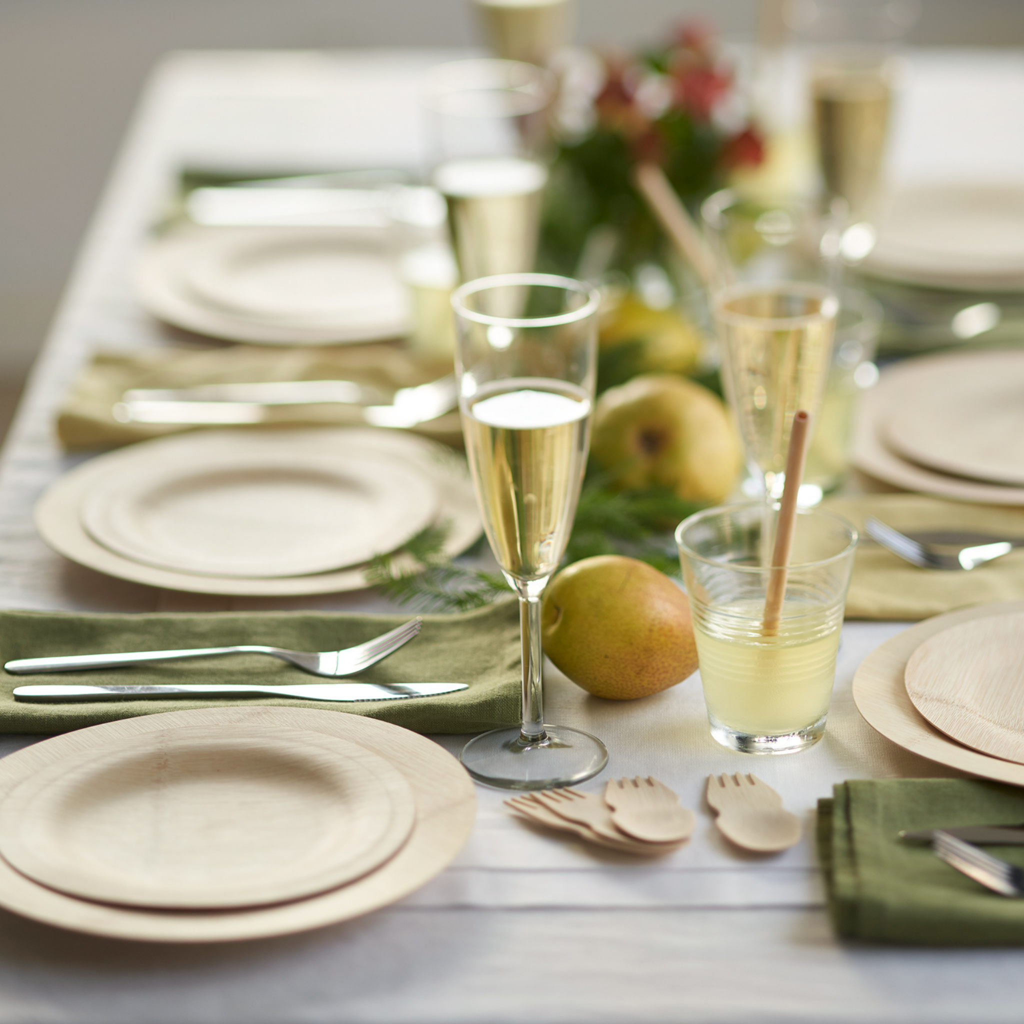 bambu® – wholesale Disposable plate – Disposable Bamboo Round Plates, Bulk Case of 1003