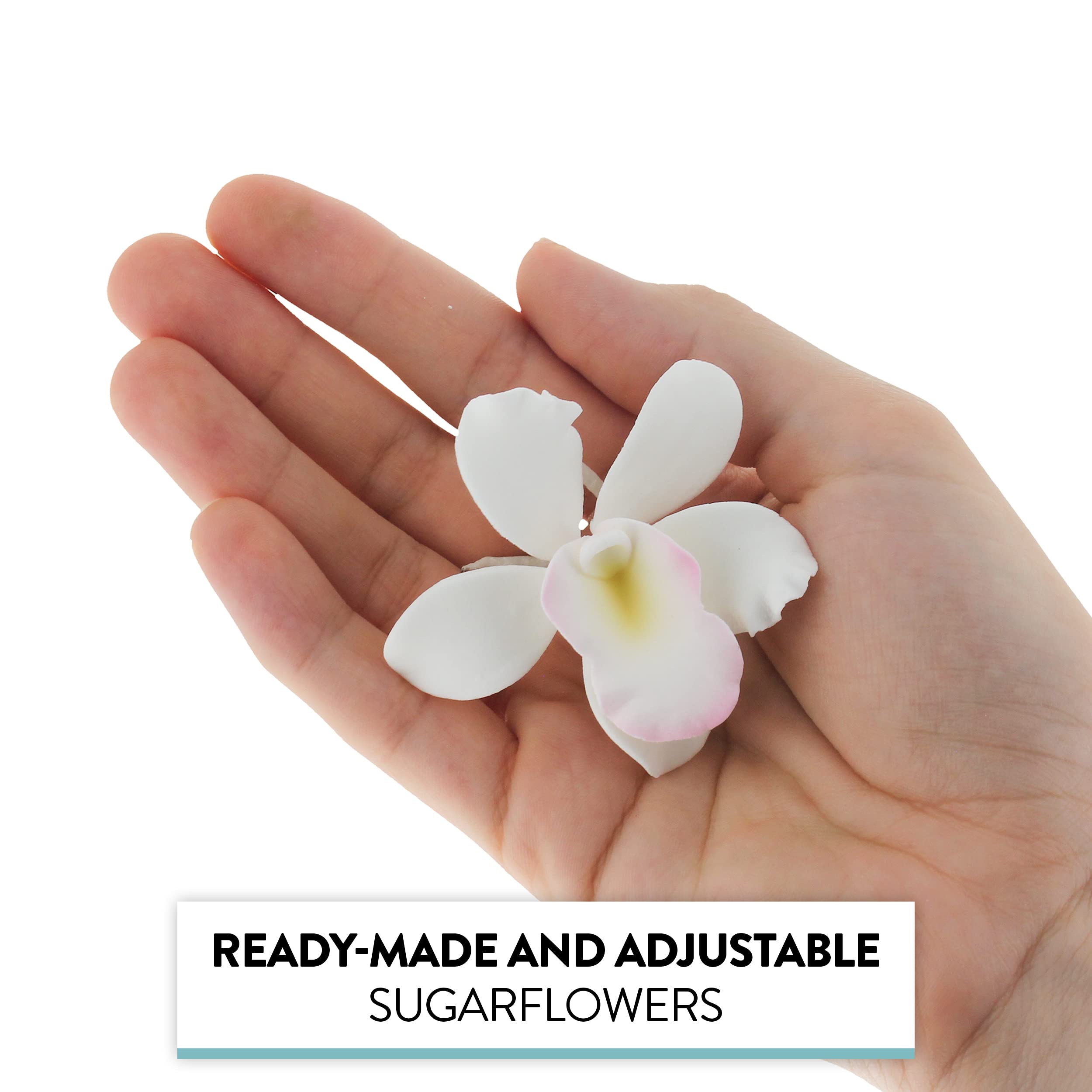 Global Sugar Art – wholesale Cake/cupcake topper – Orchid Sugar Cake Flowers, Pearly Orchids, by Global Sugar Art, Small, White, 6 Count2