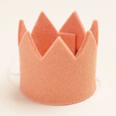NEUTRAL PARTY CROWNS Wool Pet Party Crown for wholesale by MODERNBEAST
