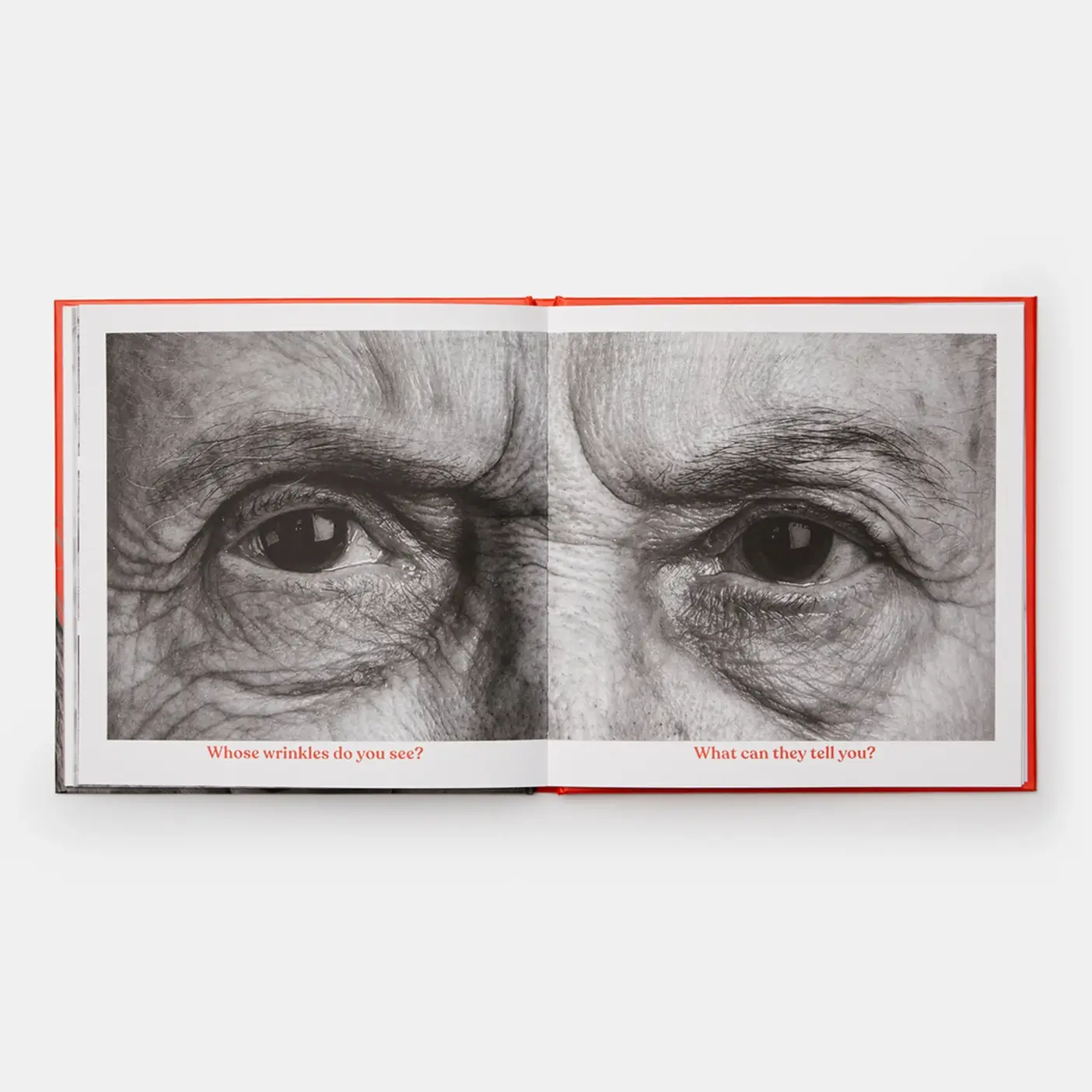 Phaidon - Wholesale Arts & Entertainment - Wrinkles5