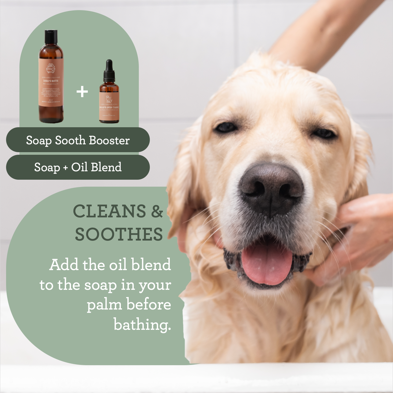 Generosa - Wholesale Pet Grooming Aid - Dog - Generosa Dog’s Skin Care – Olive & Neem Oil Blend 50 ml2