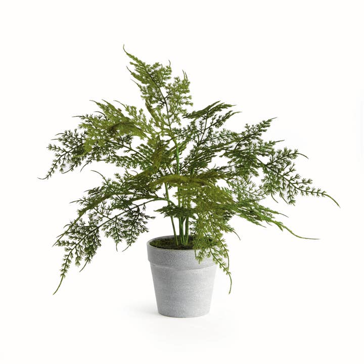 Green Plumosa Fern Drop-In 13" for wholesale on Faire