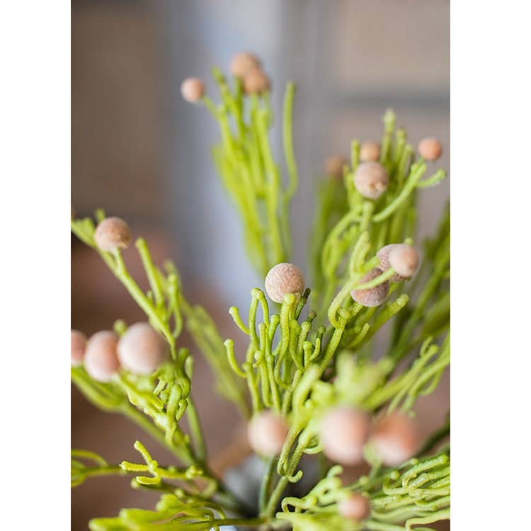 Rustic Reach - Vente Plantes artificielles - Tige artificielle Berzelia de 24 po de haut0