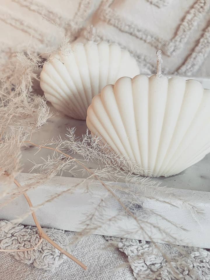 Coquillage marin pour la vente par Dreamsoy Candles