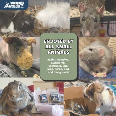 No Furries Delights – wholesale Pet toy – Not cat/dog – BULK 1x1" Palm Cubes7