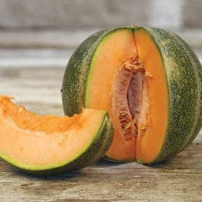 Piccolo Seeds - Vendita all'ingrosso Semi di piante - Melone Petit Gris de Rennes1