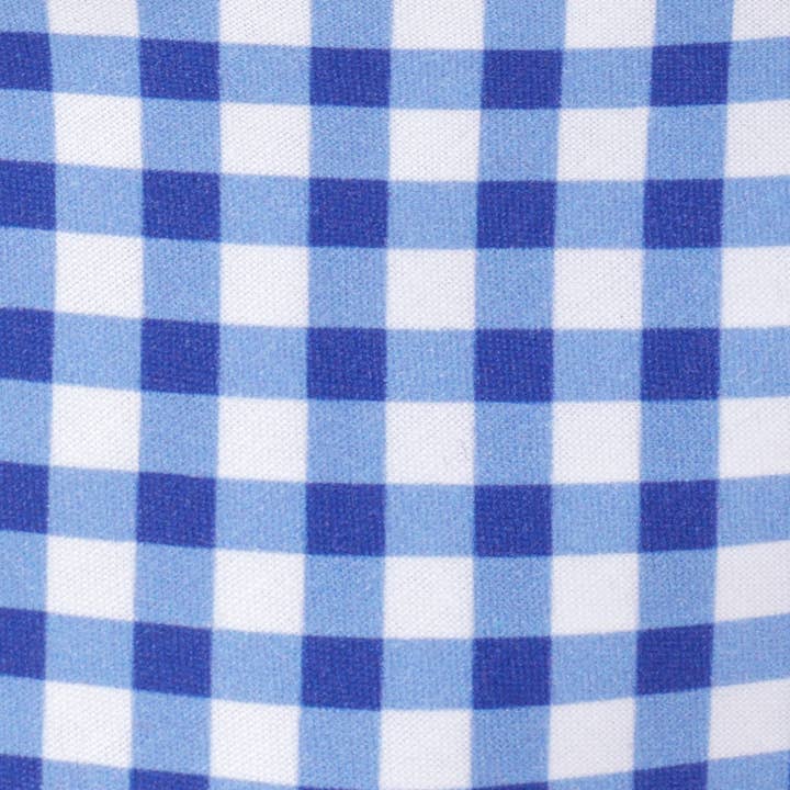 The Foggy Dog - Wholesale Pet Bandana - Dog - Blue Gingham Dog Bandana