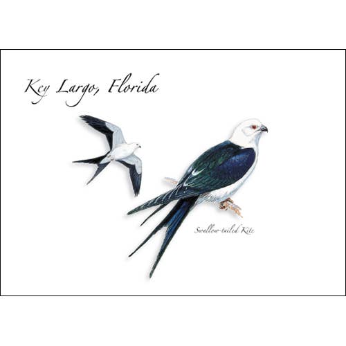 Swallow-tailed Kite for wholesale by Earth Sky + Water