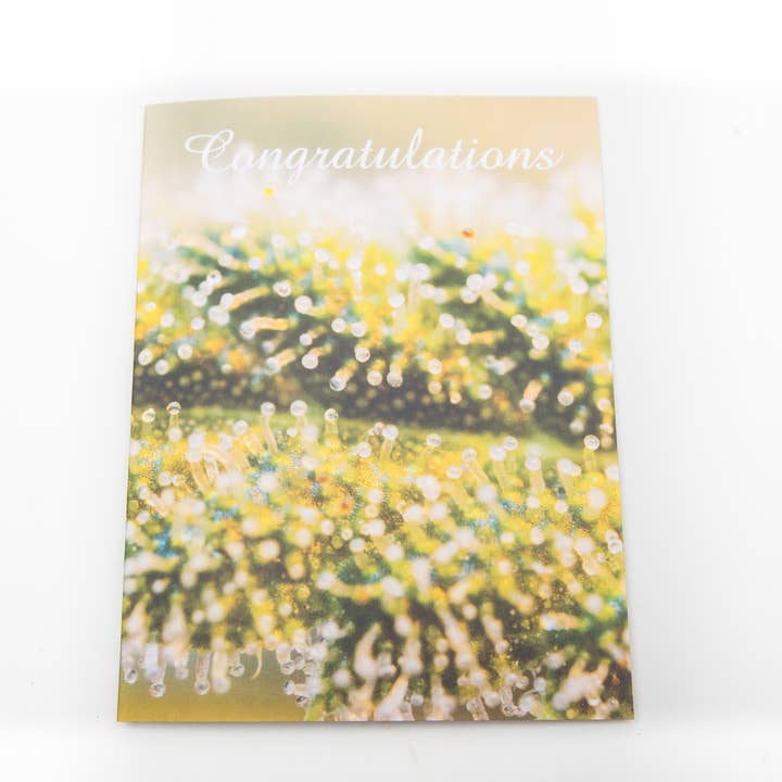 Cannabis Congratulations Card for wholesale by Herbivore Photography