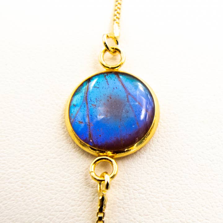 Pulsera con colgante de mariposa - Morfo azul para venta al por mayor de Monarch and Mariposa