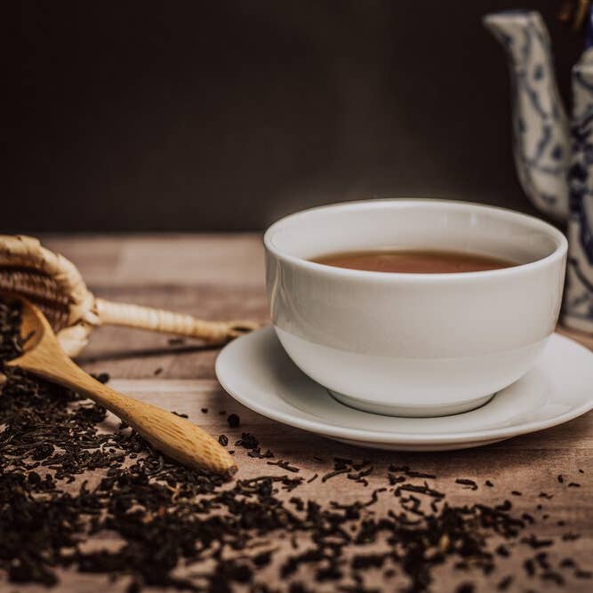 Sureau noir biologique pour la vente par Western Immortal