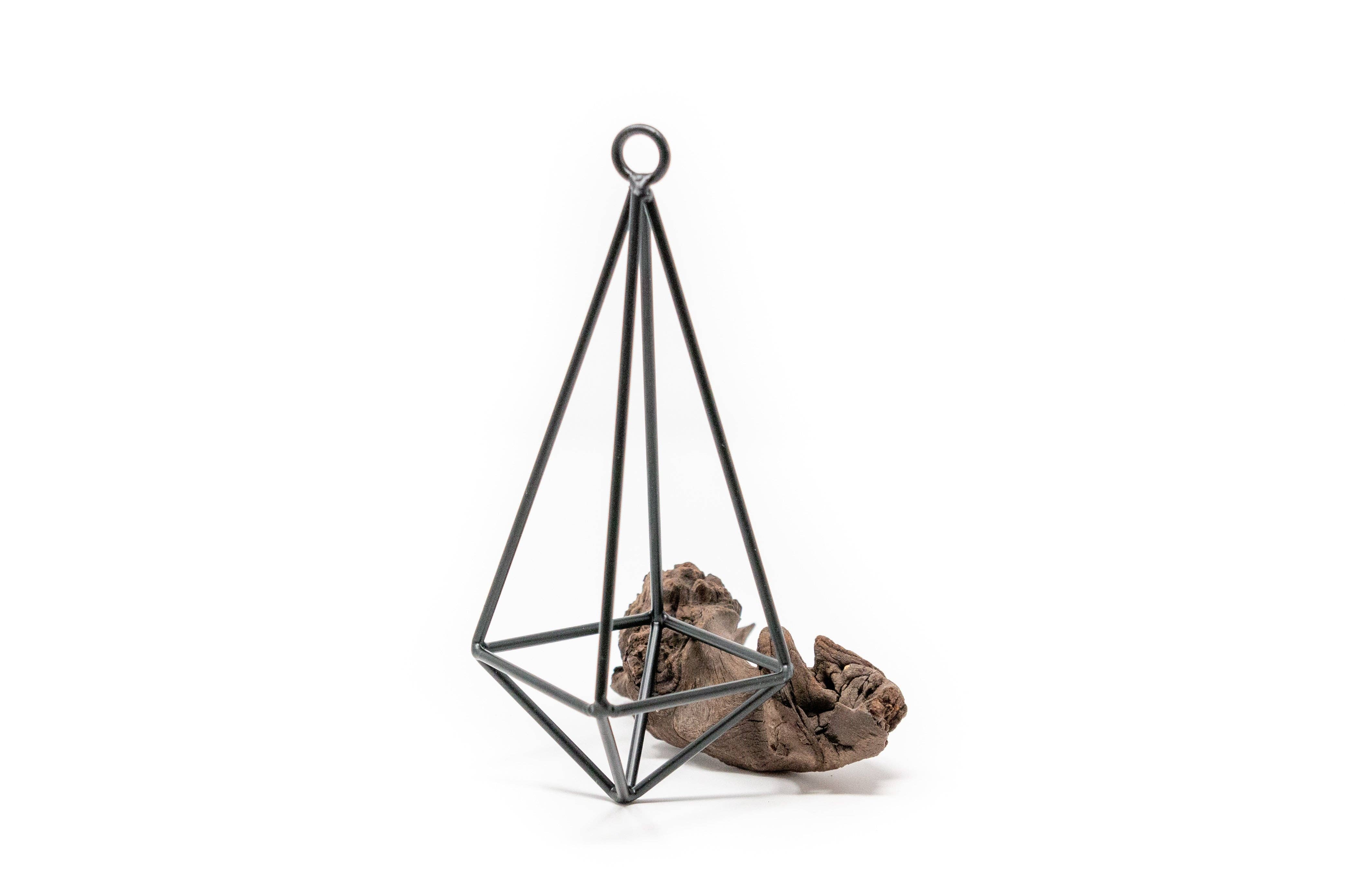 Air Plant Shop - Wholesale Hanging Planter - Hanging Metal Pendant