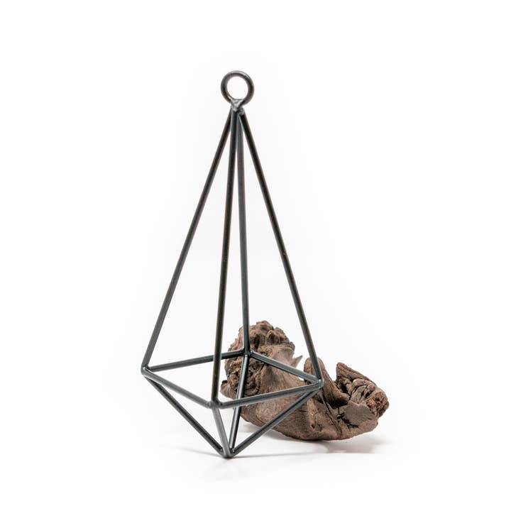 Air Plant Shop - Wholesale Hanging Planter - Hanging Metal Pendants with Tillandsia Air Plant5