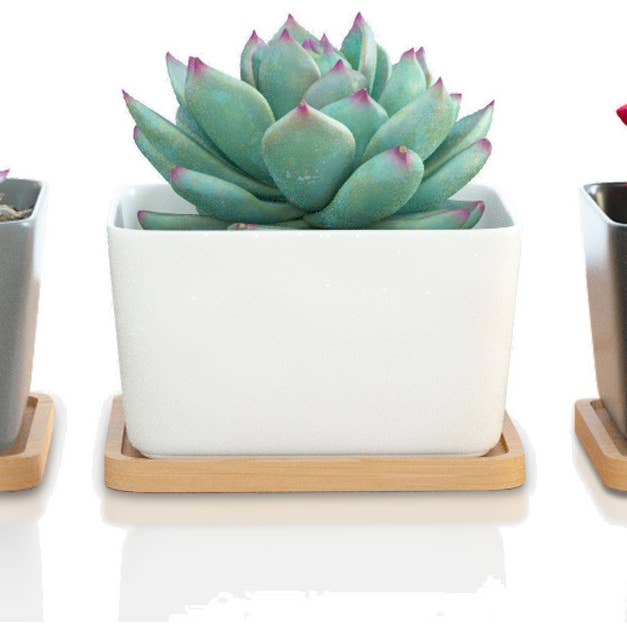 Square Succulent Pot W/Saucer 3.5" - Assorted Colors for wholesale by Ceramo Pottery