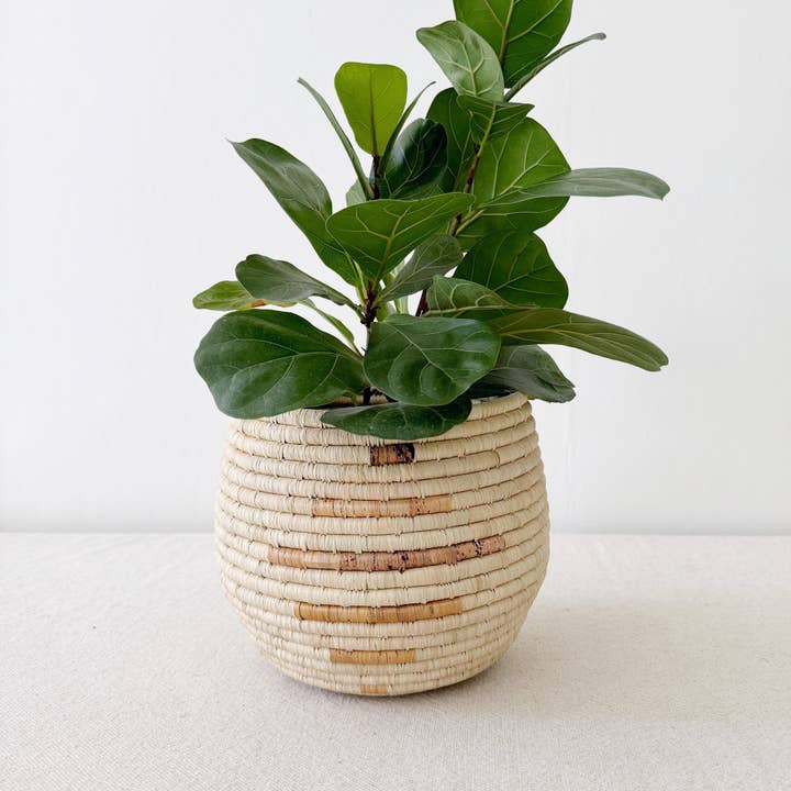Amsha - Wholesale Basket - Honey Pot Basket: Mareba