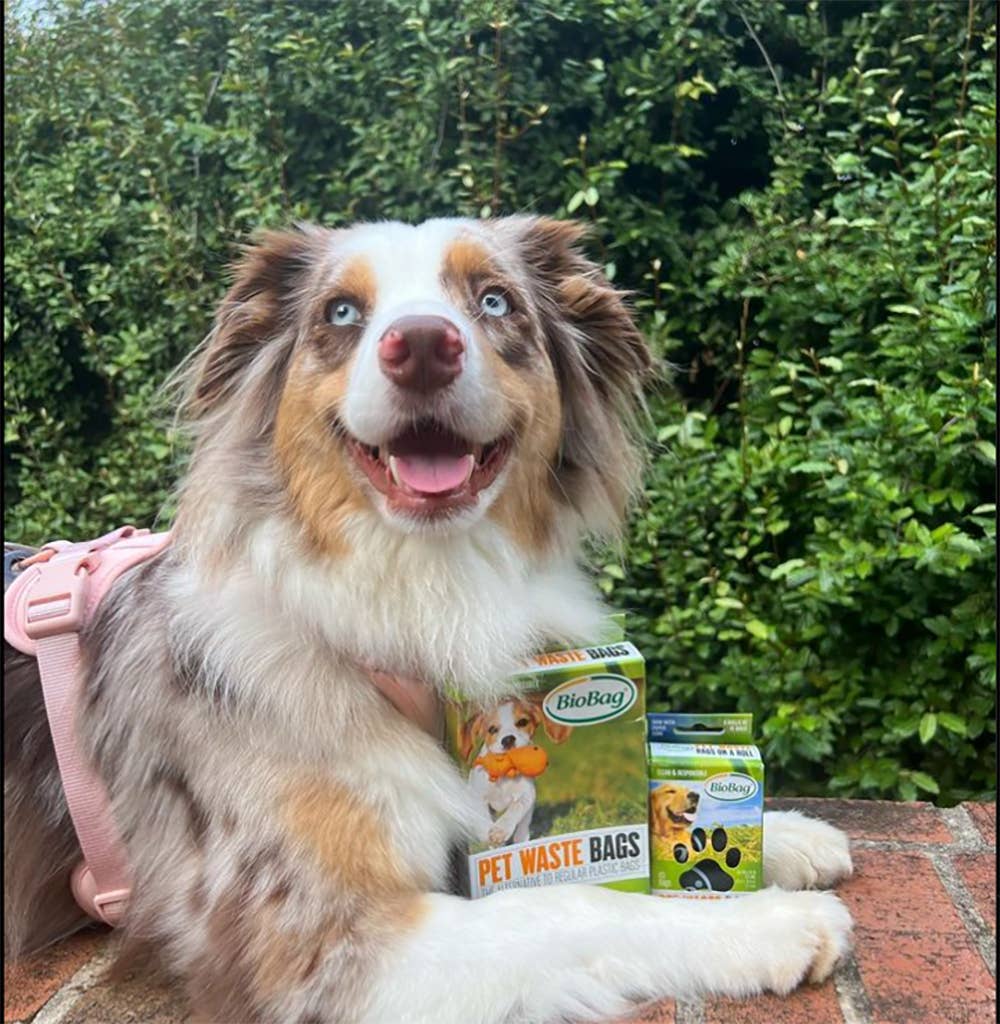 BioBag America Inc - Wholesale Pet Poop Bag - BioBag 100% Pet Bag on a Dispenser Roll (180)6