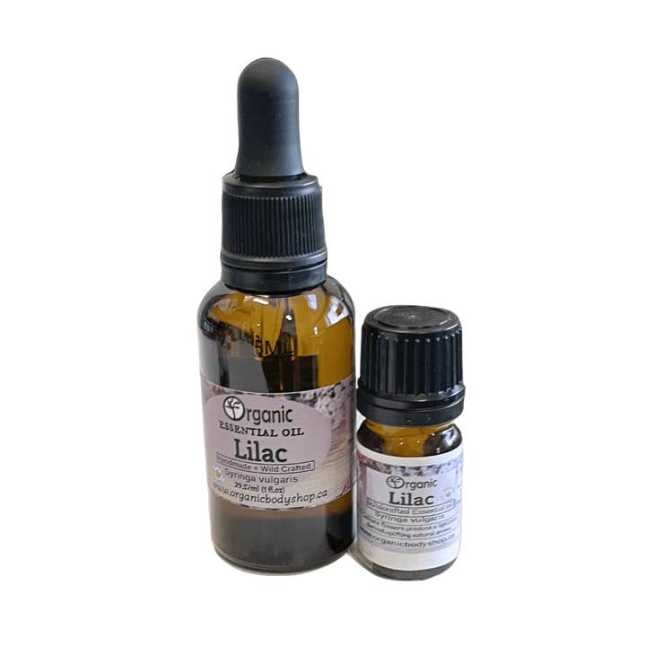 Olio Essenziale di Lilla - Raccolto Selvatico. Ontario 30ml per la vendita all'ingrosso da parte di Organic Body Shop