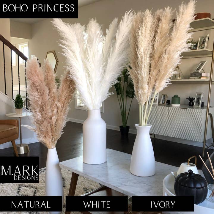 Modern Ark Designs - Wholesale Dried/Pressed Flowers - Fluffy Pampas Grass Stems Extra Large Pampas Grass