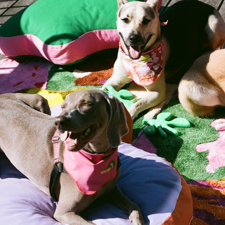 ProbaHome - Wholesale Door Mat - The "Goofy" All Purpose Mat2