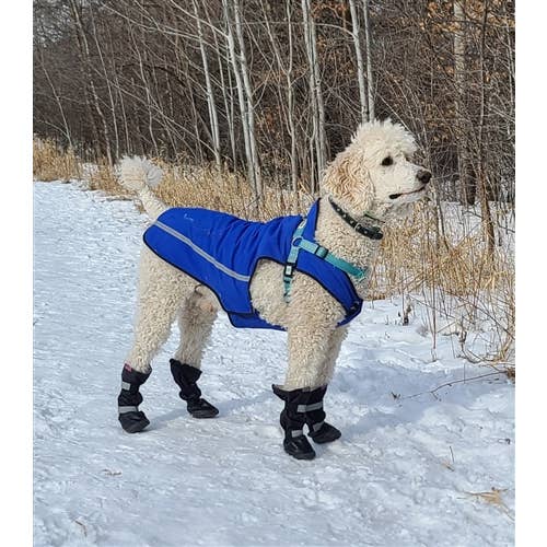 AllDogBoots - Wholesale Hondenlaarzen - Hond - Alldogboots Hi-Toppers winterlaarzen voor honden, hoog en robuust4