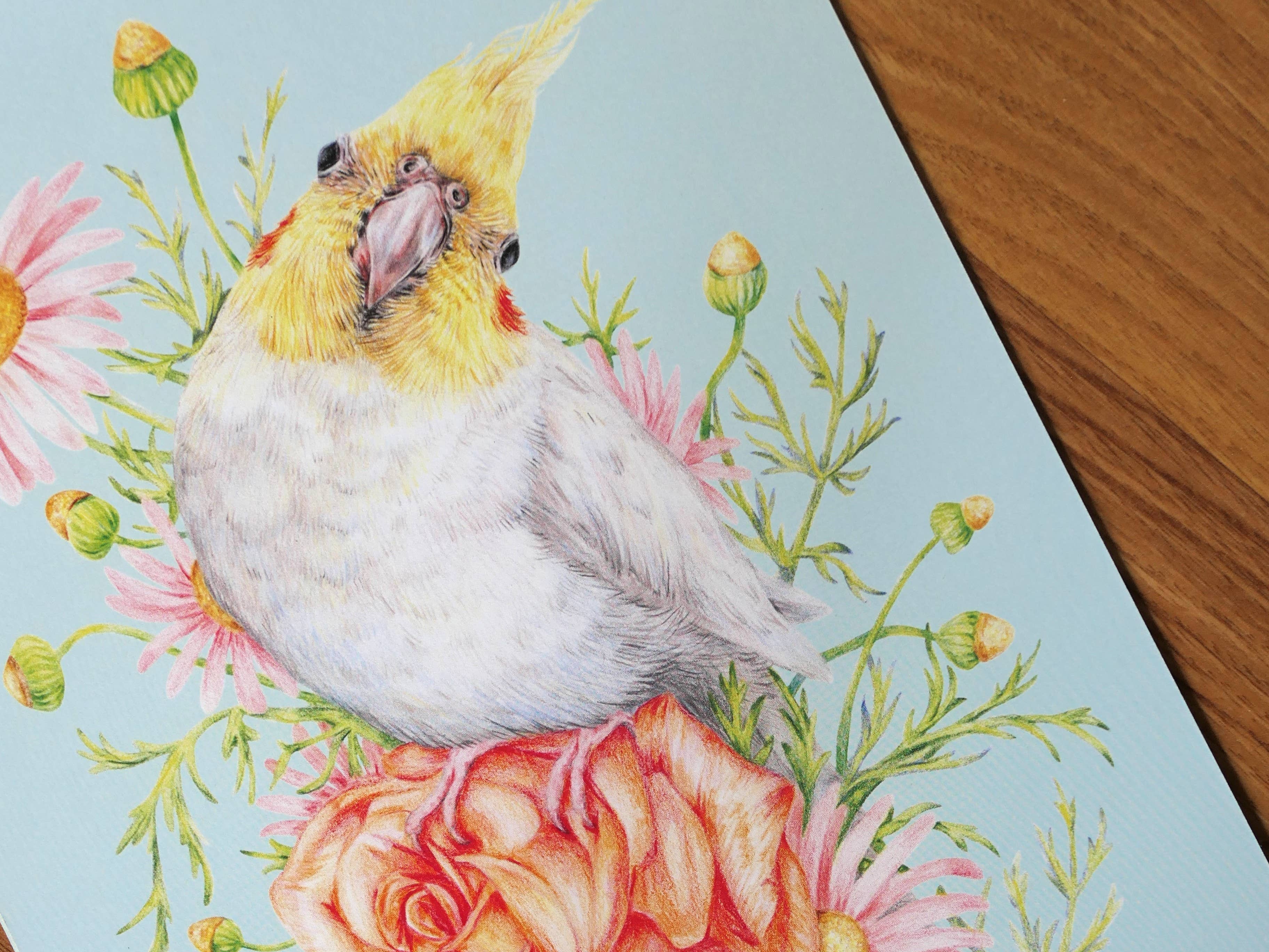 Kayla Reay Design - Wholesale Calendar - 2026 Parrots Calendar - Australian Artist Bird Art Planner5