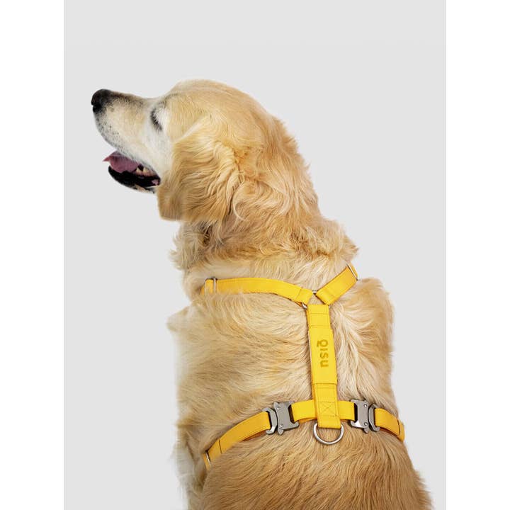 Qisu – Großhandel Haustiergeschirr – Hund – Hundegeschirr | Air Collection2