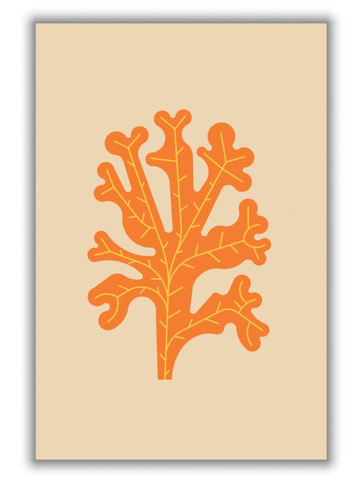 Algas anaranjadas para venta al por mayor de Stanley Print House