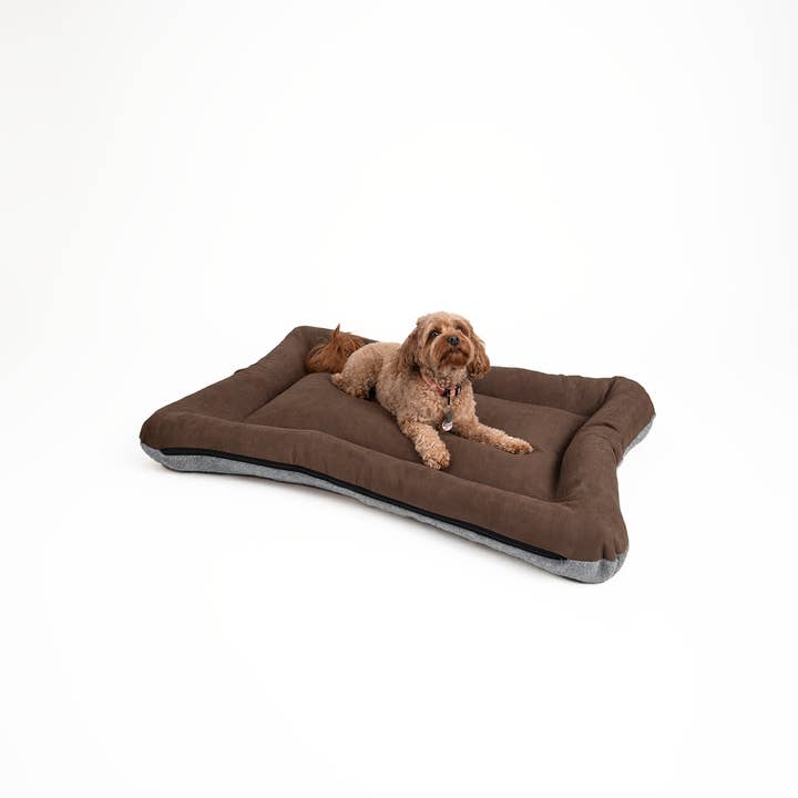 Snoozer - Wholesale Pet Bed - Dog - All Day Dog Bed