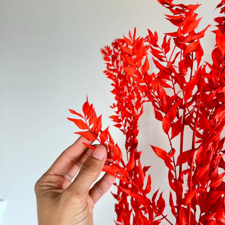 Botte Ruscus Orange foncé pour la vente par Flowrette