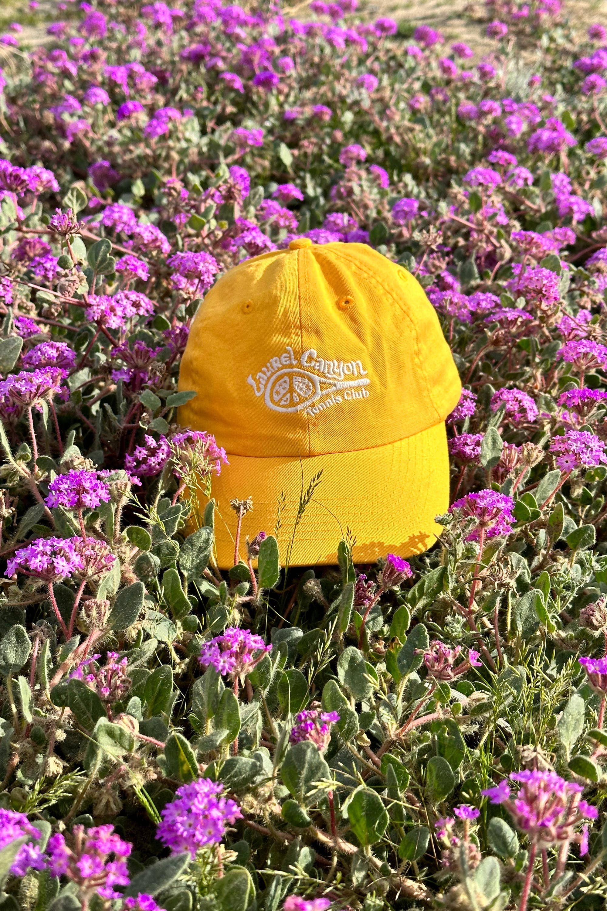 Laurel Canyon Tennis Club - Wholesale Baseball Cap - Unisex - Unisex Laurel Canyon Tennis Club Embroidered Cotton Tennis Hat in Mellow Yellow1