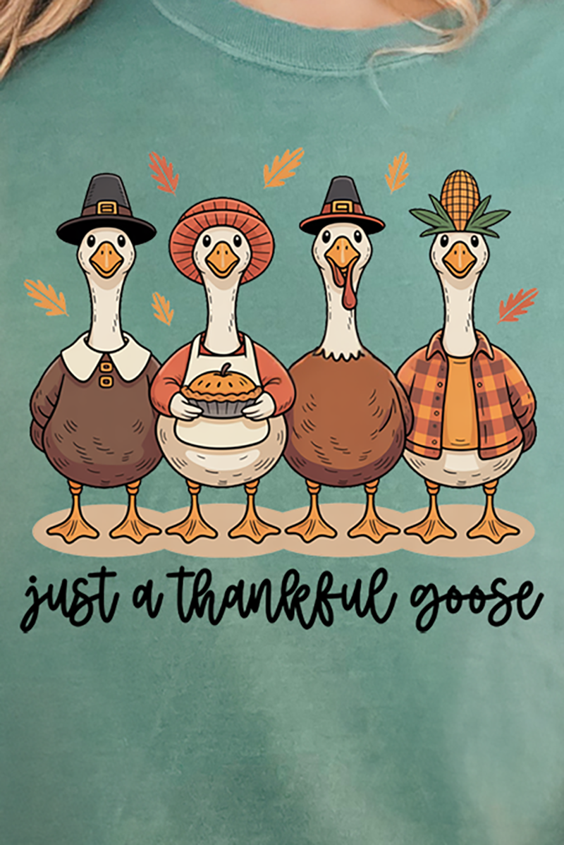 Wholesale Accessory Market - Wholesale Screen Printed T-Shirt - Women's - Just A Thankful Goose Comfort Colors Adult Ring-Spun Cotton Tee9