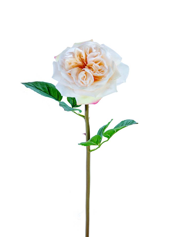American Best - Wholesale Artificial Flowers - 24" REAL TOUCH GARDEN ROSE STEM1