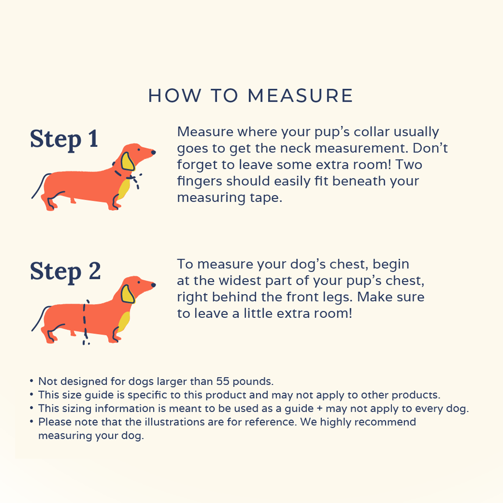 Lucy & Co. – Engroshandel Kæledyrssele – Hund – I skyerne Vendbar Harness10