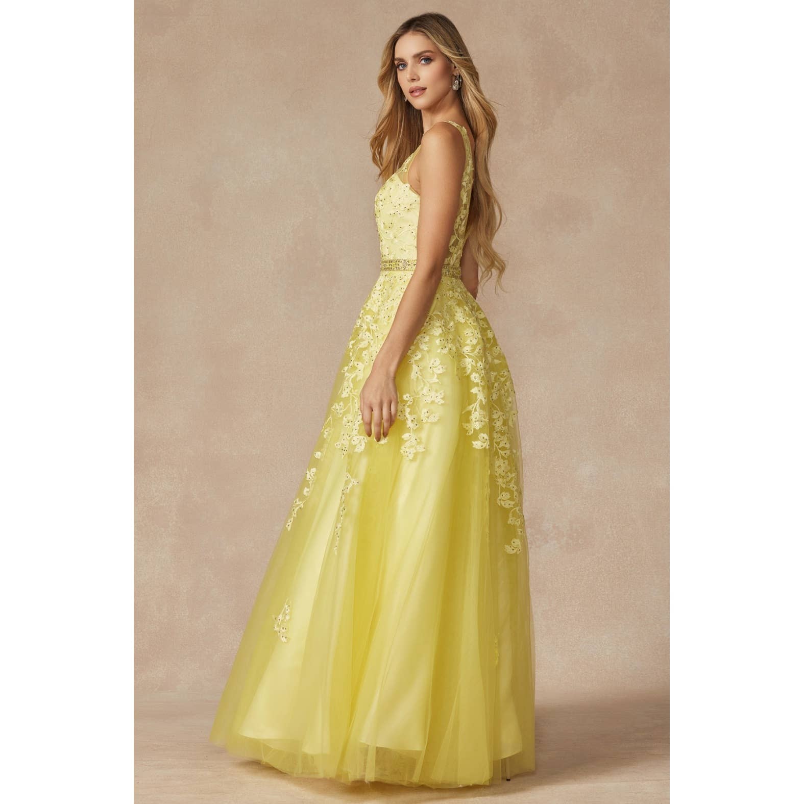 Juliet - Wholesale Gown - Women's - FLORAL APPLIQUES PROM BALLGOWN14