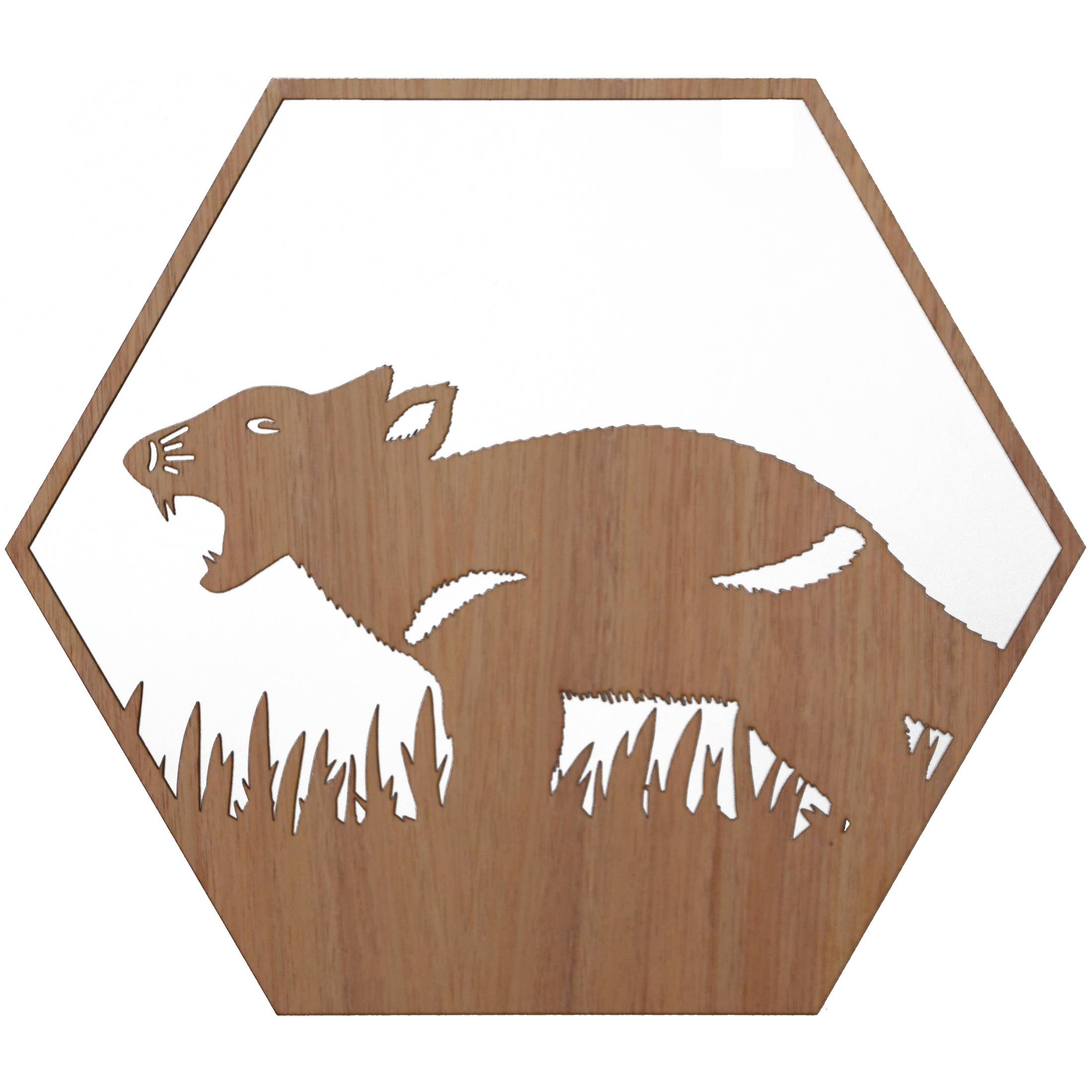Straya Art - Wholesale Wall Accent - Tasmanian Devil Hexagon Wall Art1