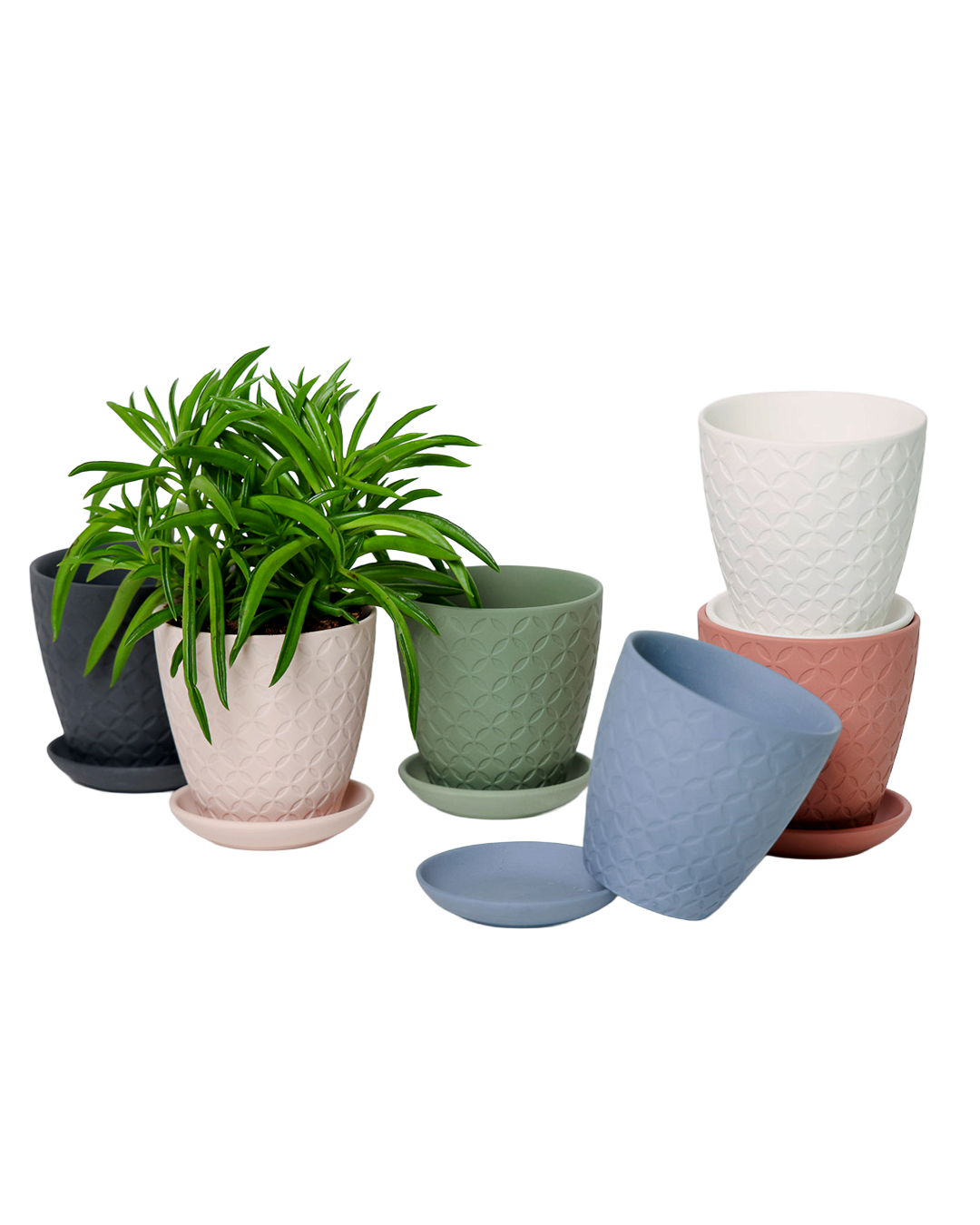 Chive - Wholesale Plant Pot - Handmade Ceramic Virago Pots | Artisan Plant Planters14