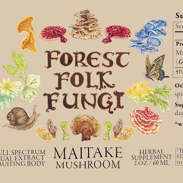 Forest Folk Fungi - Vendita all'ingrosso Tinture - Fungo Maitake - vendita all'ingrosso