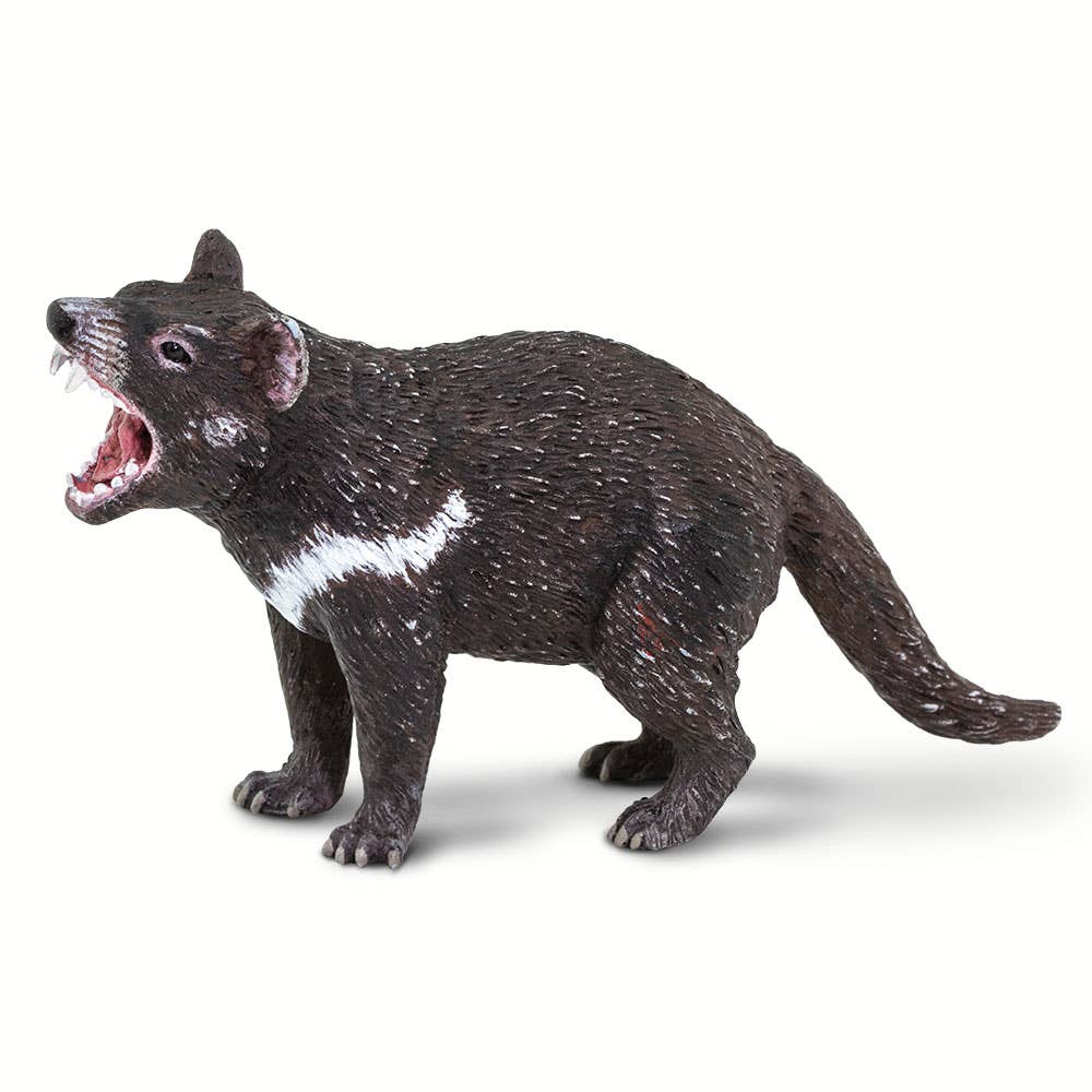 Safari Ltd. - Wholesale Figurine Toy - Kids - Tasmanian Devil - 1002470