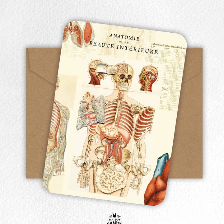 Carta - Anatomia della bellezza interiore #2 per la vendita all'ingrosso da parte di Maison Chapal