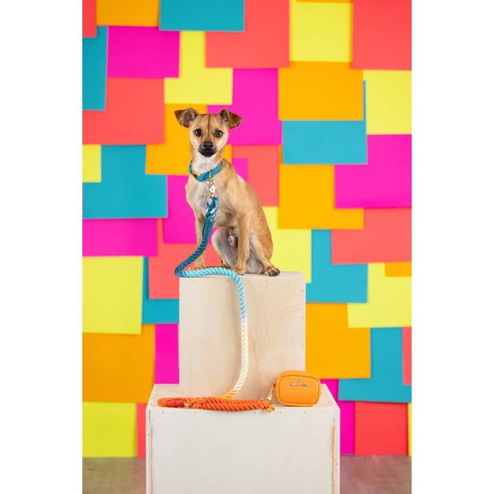 Pink Papyrus | Premium, Durable, & Stylish Dog Products - Venta al por mayor Correa - Perros - Correa para perros Beau Rope | Correa para perros | Correa azul y naranja3