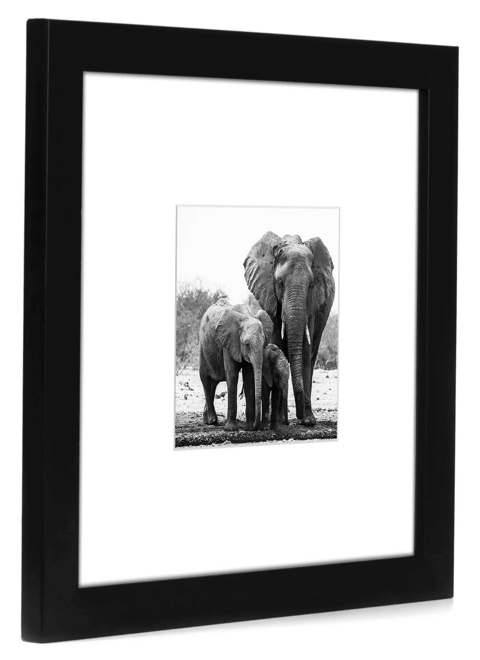 Americanflat - Wholesale Picture Frame - Americanflat Picture Frame with Mat Standard Molding188