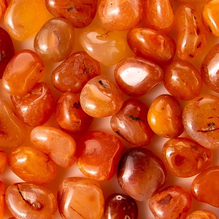 Small Tumbled Carnelian for wholesale by Tree of Life Gems