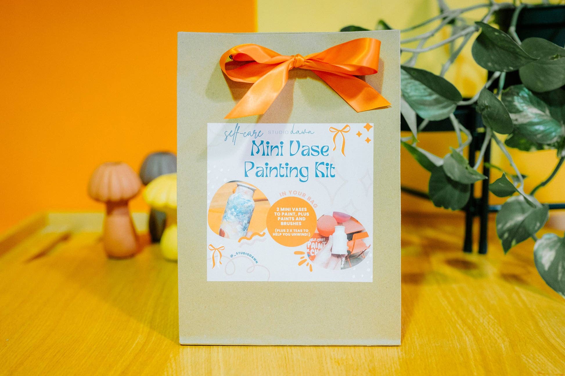 Studio Dawn - Wholesale DIY Craft Kit - Mini Vase Painting Kit3