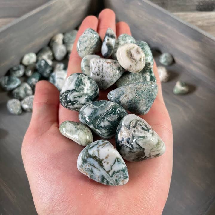 Tree Agate Tumbled Stones – 1 lb Bulk Wholesale Crystal Lot for wholesale by Keystone Crystals