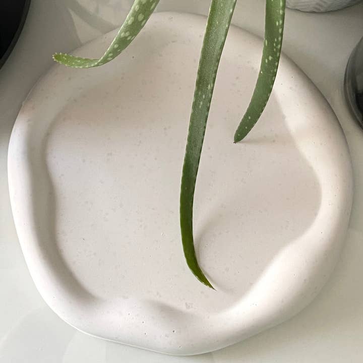 ROUND CLOUD TRAY for wholesale by Fytonix