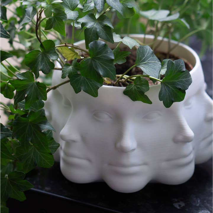 alterly – wholesale Plant pot – Multi-Face Planter, Face Plant Pot -3D Printed Plastic-White