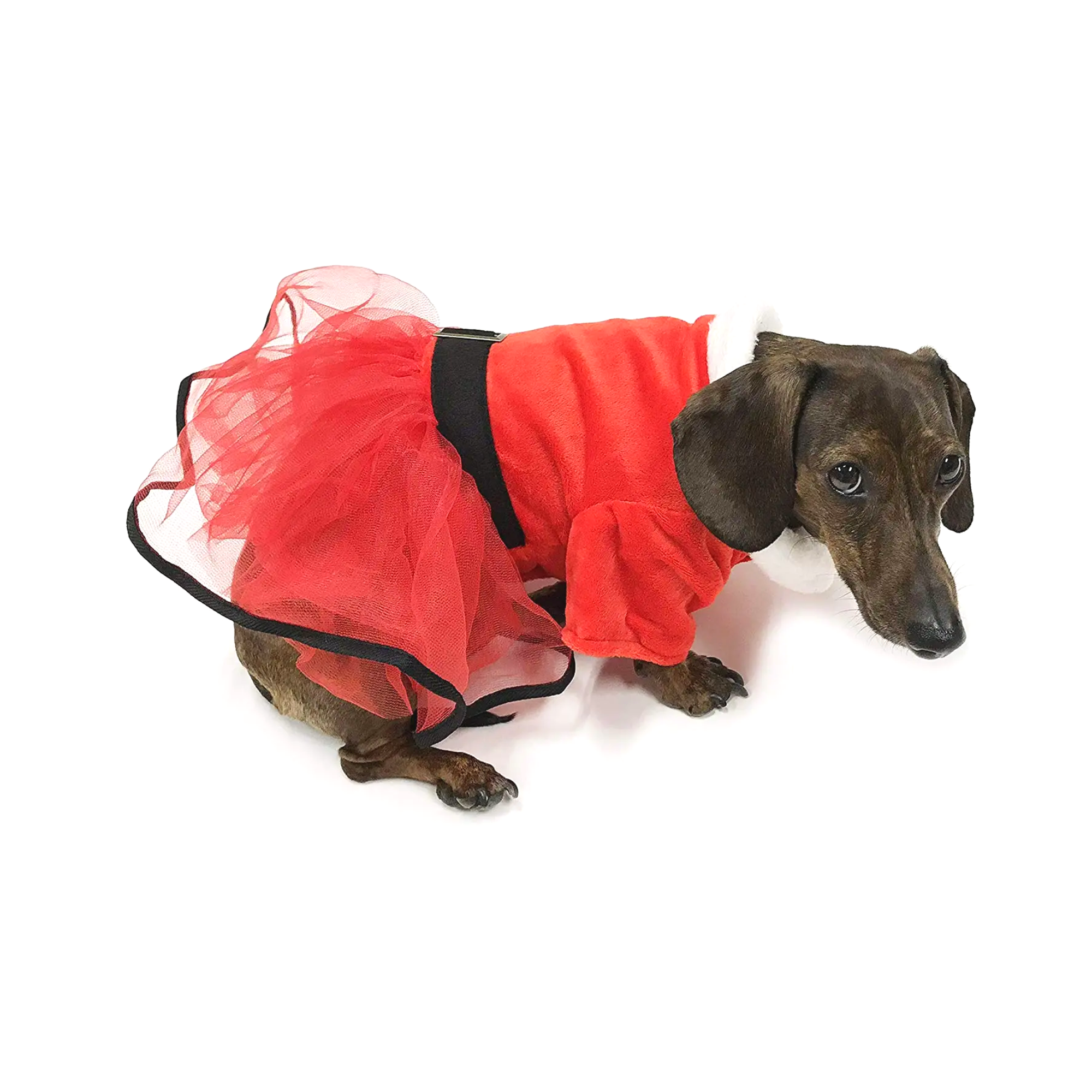 Midlee Designs – vestido - Cão por atacado – Vestido Midlee Mrs. Claus Santa Tutu Dog1